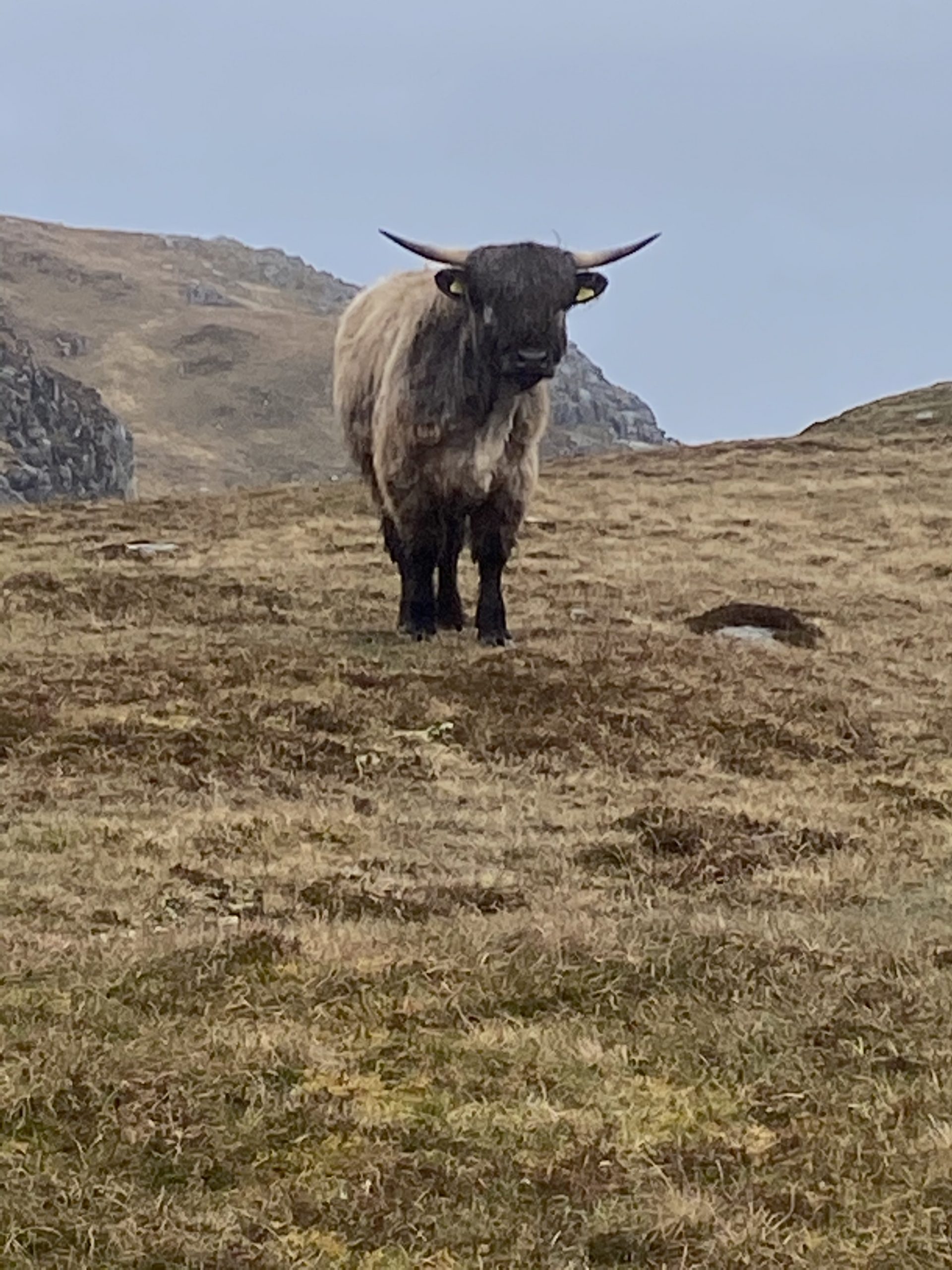 Walk from Dalmore beach